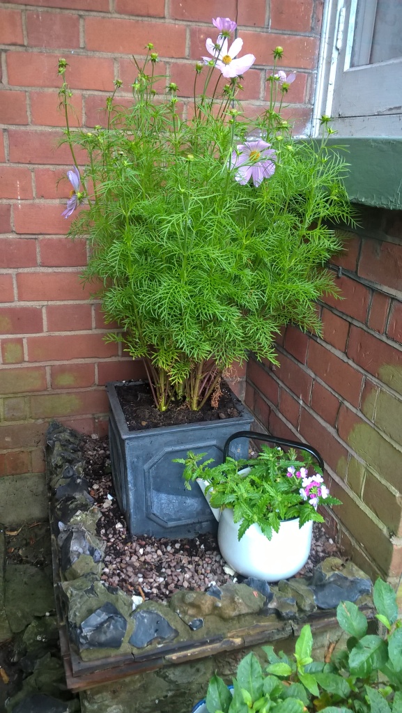 Recycled Kettle Made Into Garden Planter